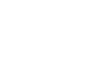 ELIDAER SERVICES